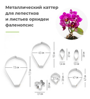 Каттер - вырубка "Фаленопсис лепестки большой"