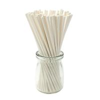 Палочки бумажные для леденцов и кейк-попсов белые 20 см, d-3мм, 10 шт