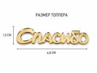 Топпер Спасибо 6,8*2см