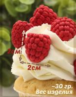 Силиконовая форма №2 Малина 6шт ячеек