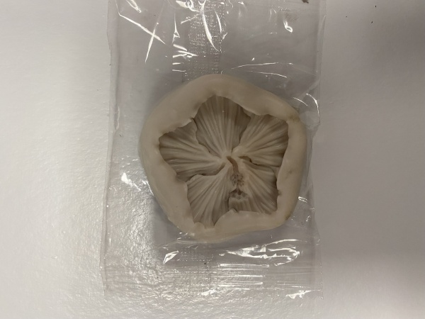 Молд силиконовый "Петунья" 4,5см