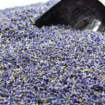 Лаванда LUX сушеная (бутоны) 10 гр.