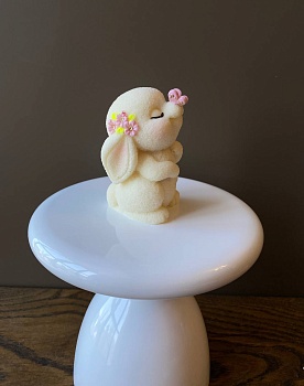 Зайка с бабочкой