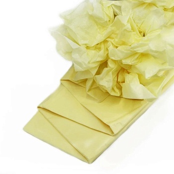 Бумага упаковочная тишью, Шампань 50х66 см 10 листов