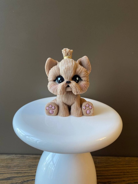 Собачка Ши-тцу