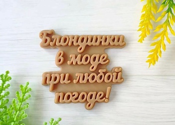 Силиконовая форма "Блондинки в моде при любой погоде"